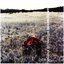 Breakdown [Limited Edition]