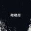 223 [Explicit]