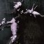 BLOOM/DECAY