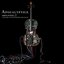 Amplified: A Decade Of Reinventing The Cello [Instrumental] [Disc 1]