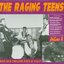 The Raging Teens, Vol. 4