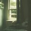 Album cover for porch kiss - little room