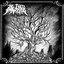 Delusions of the Contrite - Single