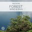 Forest Wind and Rain