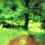 Quiet Forest (クワイエット・フォレスト)