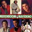 Merenboom Navideño