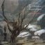 Liszt: Complete Piano Music 32 – The Schubert Transcriptions II