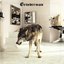 Grinderman 2 [5099964728025]