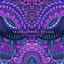 Transcendent Voyage