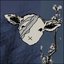 The Flower's Decay