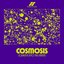 Cosmosis: Journeys into the Infinite