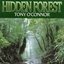 Hidden Forest