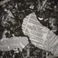#Tired - Tired (Feat. heroincity) - Single