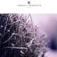 Subsoil Memories Series II