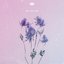 We Collide - Single
