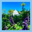 Ocean Blvd - Single