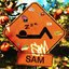 SAM [Explicit]