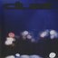 Sky is Falling [Explicit]