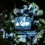Alive - Single