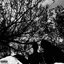 Consanguinity