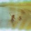New Fragility [Explicit]