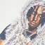 mevsworld2