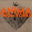 ANIMA (Preview Limited Edition)
