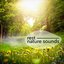 Rest: Nature Sounds