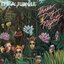 It's A Jungle