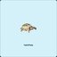 HydroPump - Single