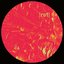 Endurance EP