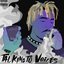 Talking To Voices