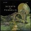 Scents of Phaselis