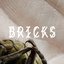 Bricks