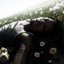 WITHERED (Extended Edition)