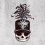 The Black Parade (20th Anniversary Deluxe Edition) [Explicit]