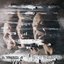 Split The Atom (EXCLUSIVE)
