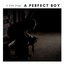 A Perfect Boy