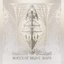Bones of Brave Ships