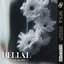 BELIAL