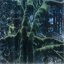 Plays Overgrown Forest II