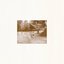 Parachute / This Light