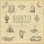 Susto Stringband (Volume 2)