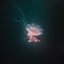 The Deep Sea