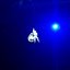 MyRiad: Live at Park Avenue Armory