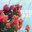 Stunner - Single