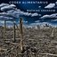 Codex alimentarius