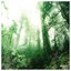 Woods - Single