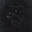 Castor / Pollux