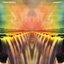 Lucidity